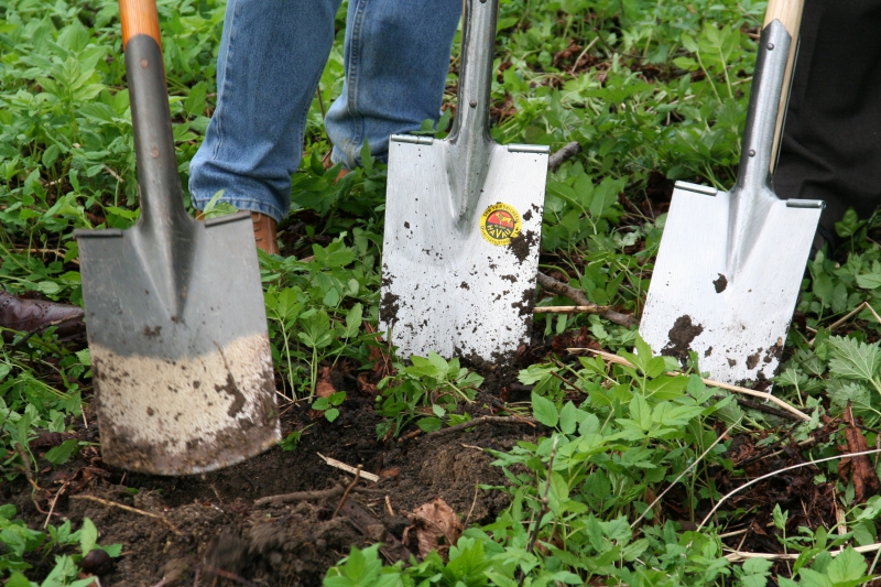 pepiniere-LE VAL-min_work-lawn-flower-tool-green-backyard-1103633-pxhere.com